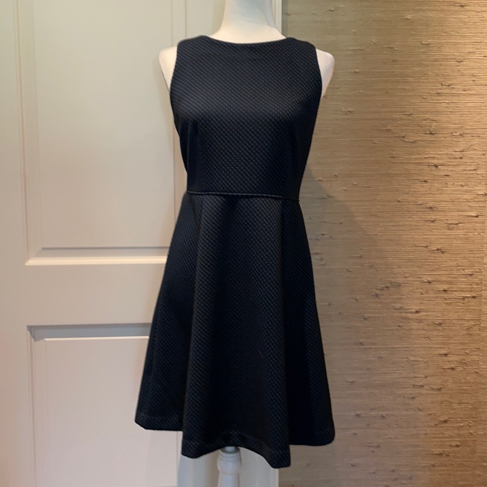 Loft 8P Black and blue  dot dress